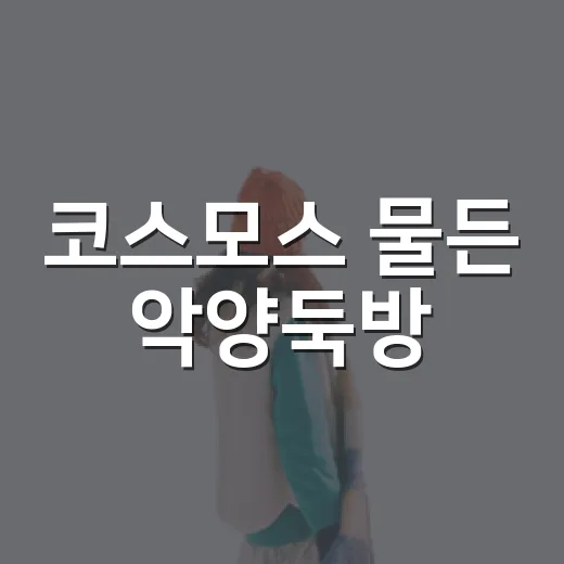 코스모스 물든 악양둑방