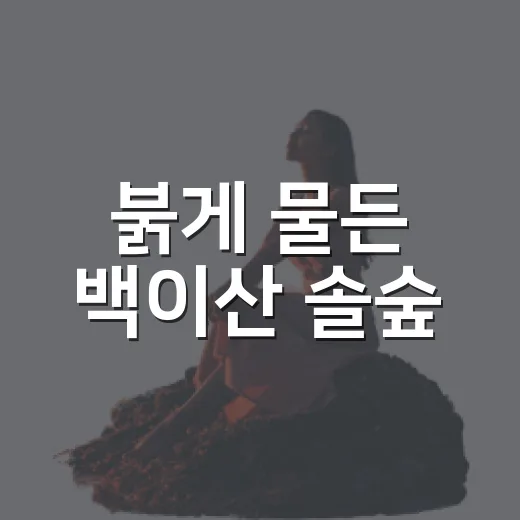 붉게 물든 백이산 솔숲