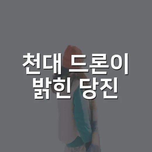 천대 드론이 밝힌 당진