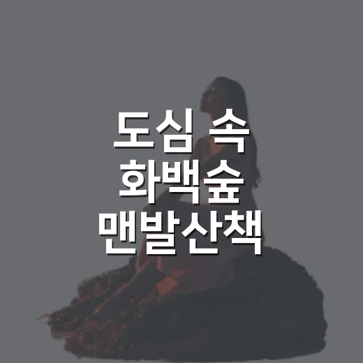 도심 속 화백숲 맨발산책