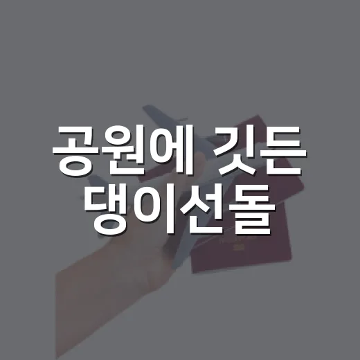 공원에 깃든 댕이선돌