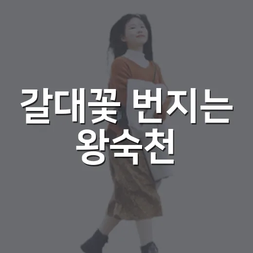 갈대꽃 번지는 왕숙천