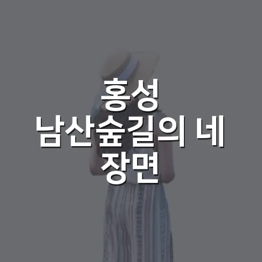 홍성 남산숲길의 네 장면
