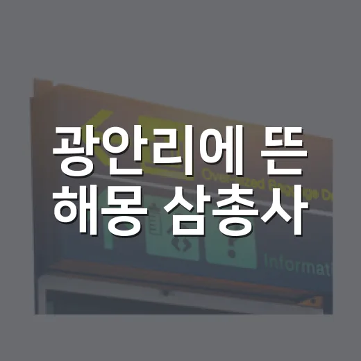 광안리에 뜬 해몽 삼총사