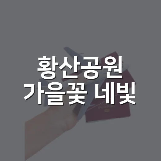 황산공원 가을꽃 네빛