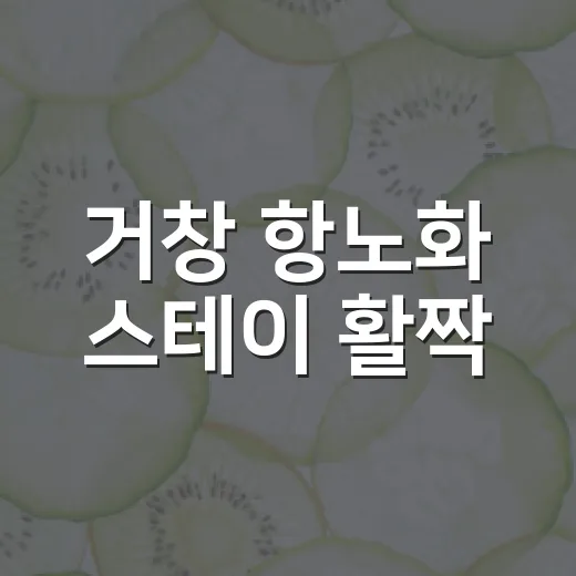 거창 항노화 스테이 활짝