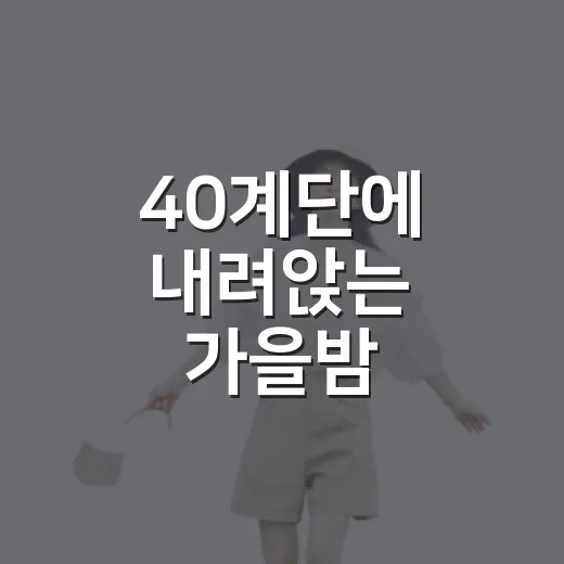 40계단에 내려앉는 가을밤