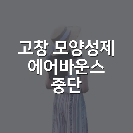 고창 모양성제 에어바운스 중단