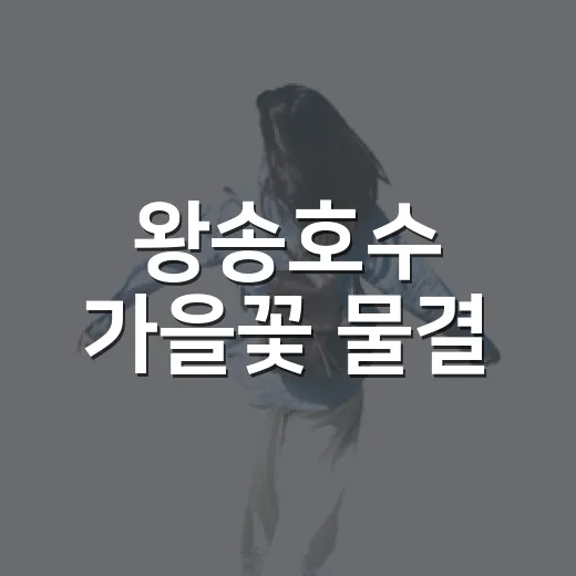 왕송호수 가을꽃 물결