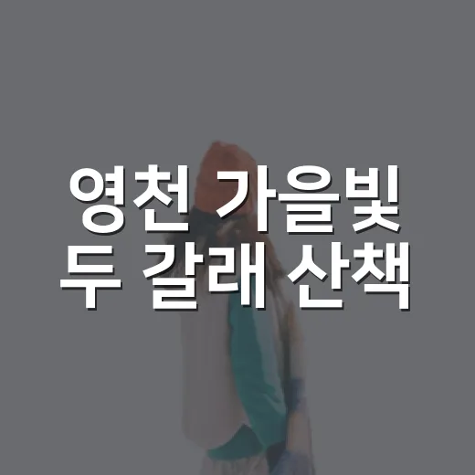 영천 가을빛 두 갈래 산책