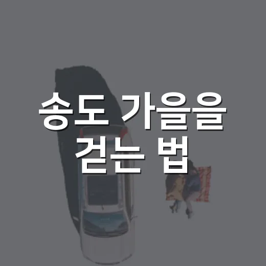 송도 가을을 걷는 법