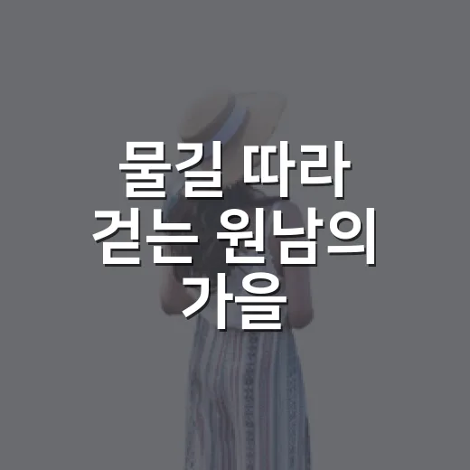 물길 따라 걷는 원남의 가을
