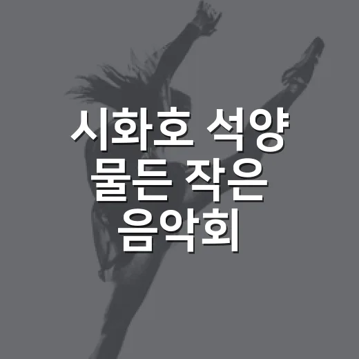 시화호 석양 물든 작은 음악회