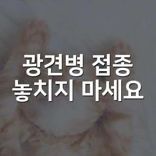 광견병 접종 놓치지 마세요