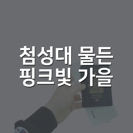 첨성대 물든 핑크빛 가을