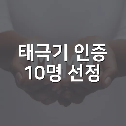 태극기 인증 10명 선정