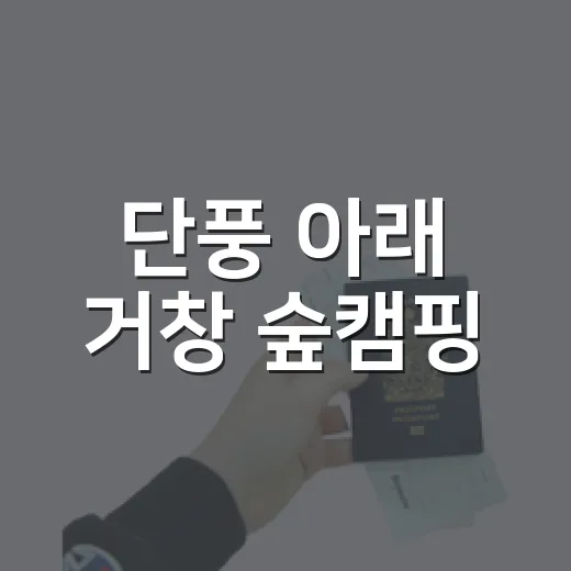 단풍 아래 거창 숲캠핑