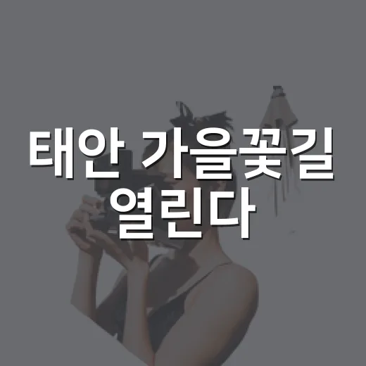 태안 가을꽃길 열린다