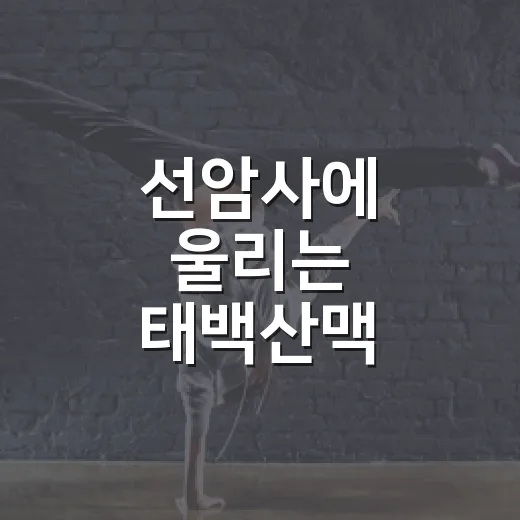 선암사에 울리는 태백산맥