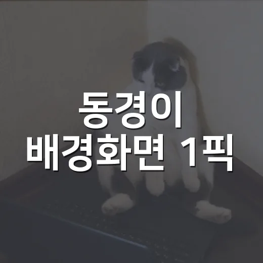 동경이 배경화면 1픽