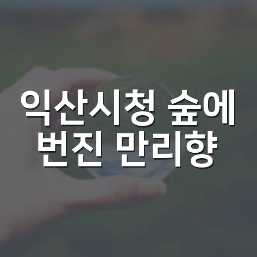 익산시청 숲에 번진 만리향