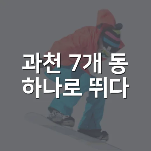 과천 7개 동 하나로 뛰다
