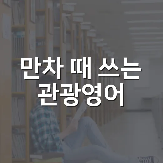 만차 때 쓰는 관광영어
