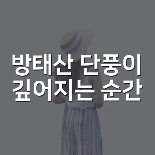 방태산 단풍이 깊어지는 순간