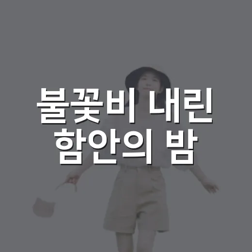 불꽃비 내린 함안의 밤