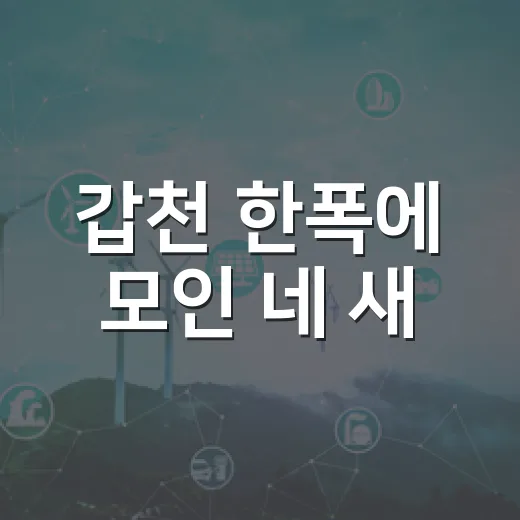 갑천 한폭에 모인 네 새