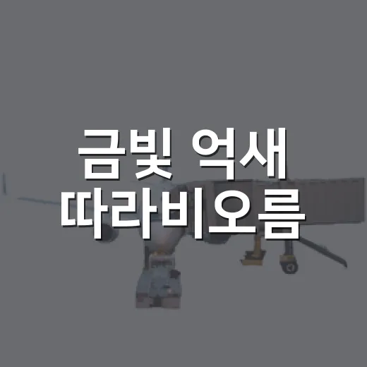 금빛 억새 따라비오름