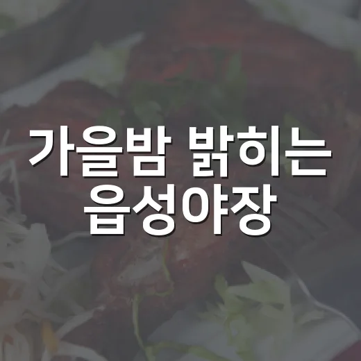 가을밤 밝히는 읍성야장