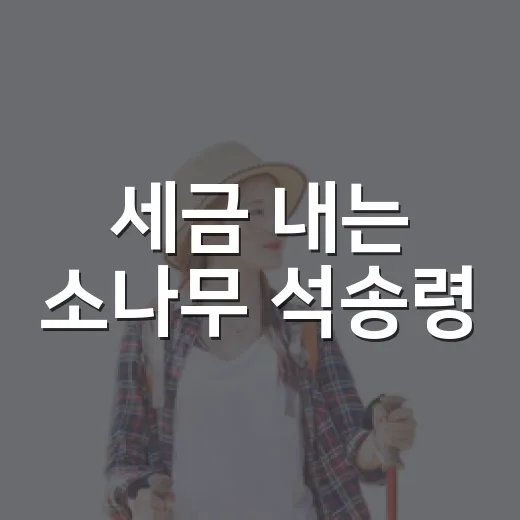세금 내는 소나무 석송령