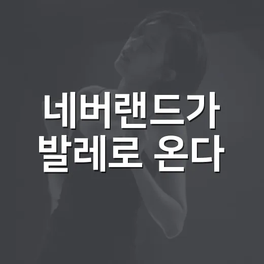 네버랜드가 발레로 온다