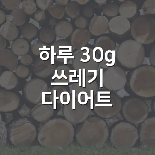하루 30g 쓰레기 다이어트