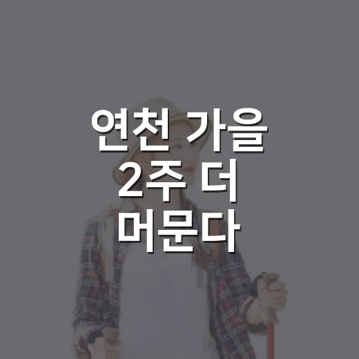 연천 가을 2주 더 머문다