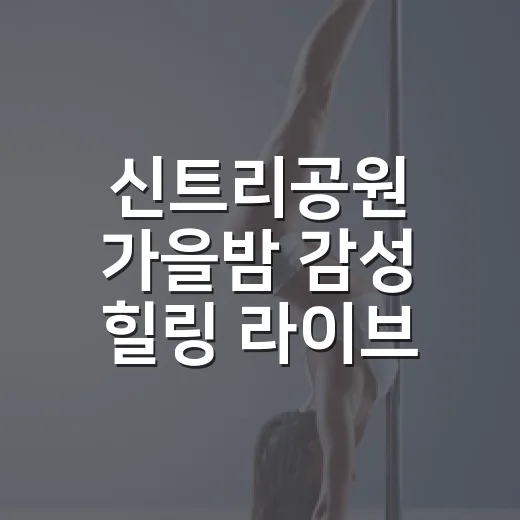 신트리공원 가을밤 감성 힐링 라이브