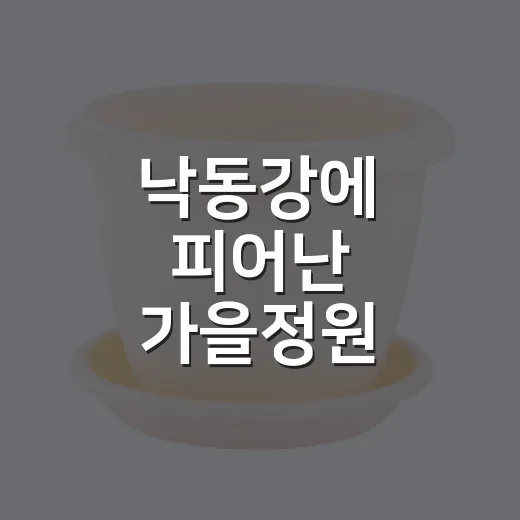낙동강에 피어난 가을정원