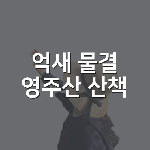 억새 물결 영주산 산책