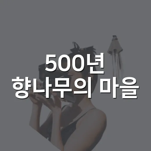 500년 향나무의 마을
