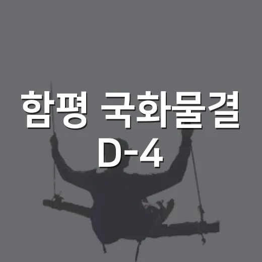 함평 국화물결 D-4