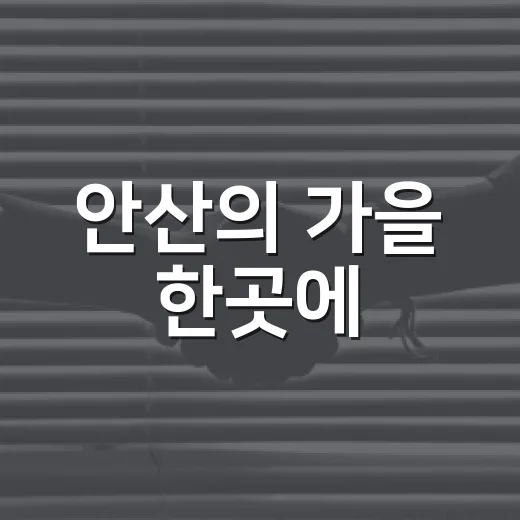 안산의 가을 한곳에
