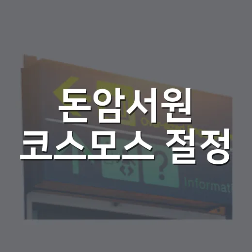 돈암서원 코스모스 절정