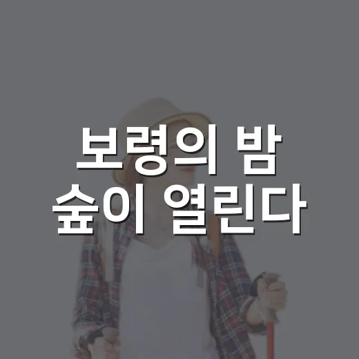 보령의 밤 숲이 열린다
