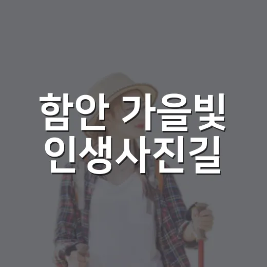 함안 가을빛 인생사진길