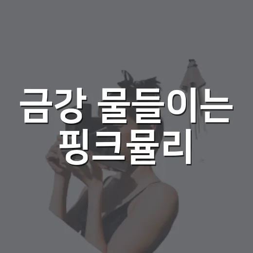 금강 물들이는 핑크뮬리