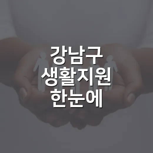 강남구 생활지원 한눈에