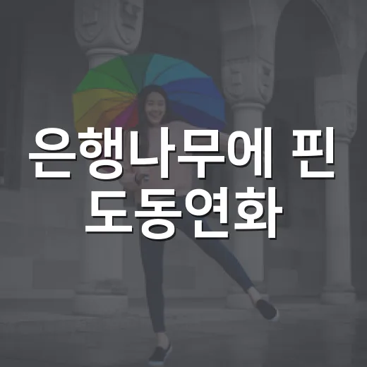 은행나무에 핀 도동연화