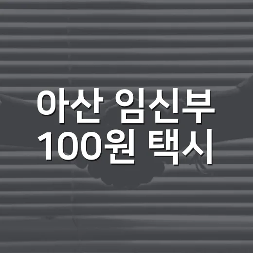 아산 임신부 100원 택시