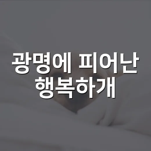 광명에 피어난 행복하개